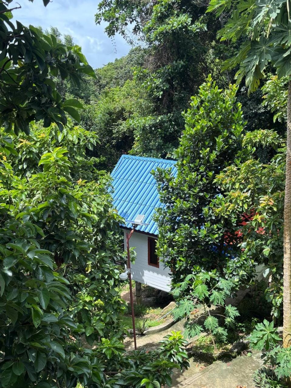 Amber Koh Rong Bed and Breakfast in Sihanoukville