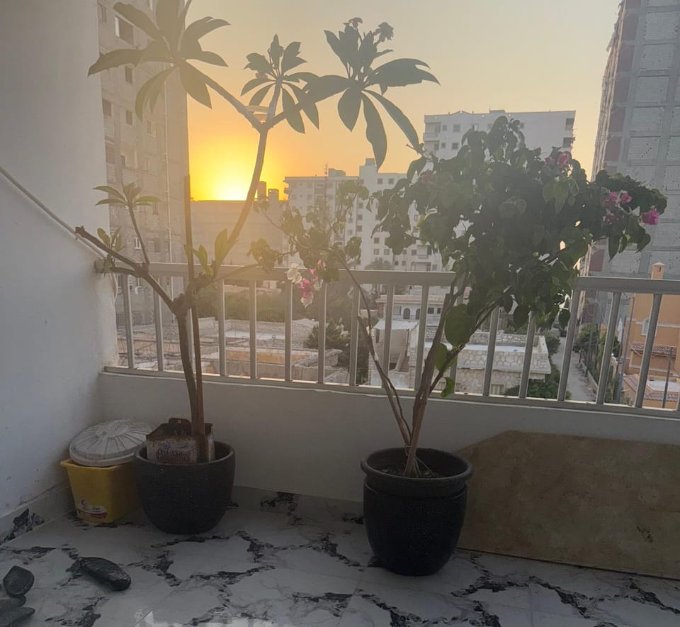 Ruim apartement abo saeed Apartment in Alexandria Governorate