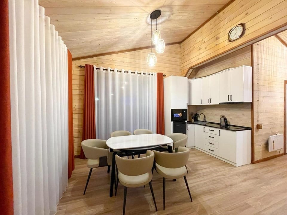 Kitchen or kitchenette, Dining area, oven