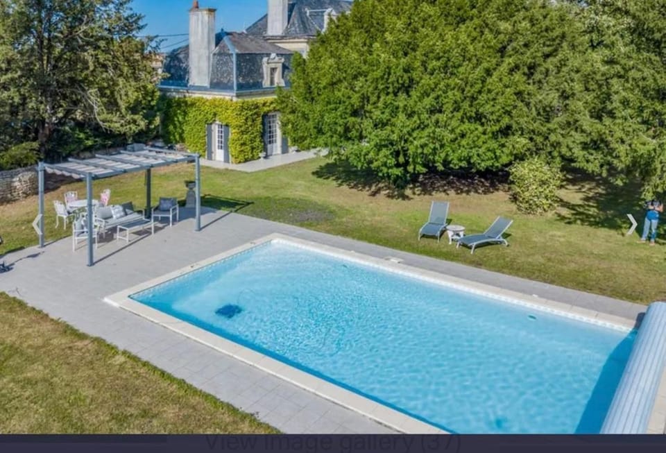 Garden, Pool view, Swimming pool