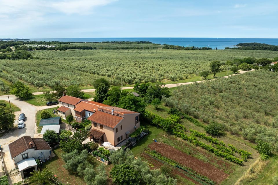 Property building, Nearby landmark, Day, Neighbourhood, Natural landscape, Bird's eye view, Sea view