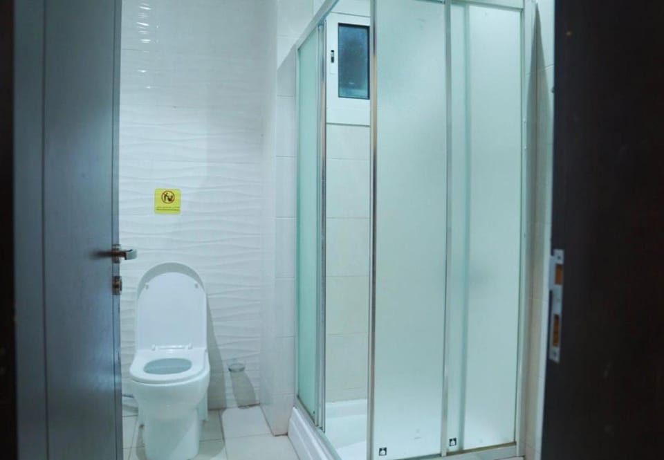 Shower, Toilet, Bathroom, bidet