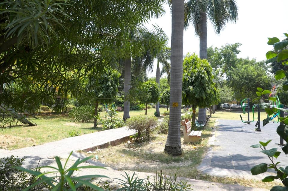 Garden