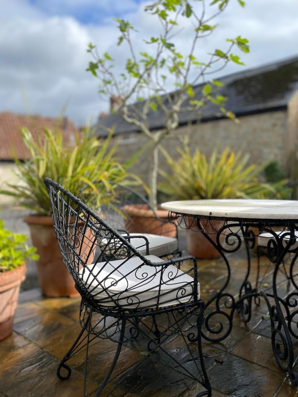 Balcony/Terrace