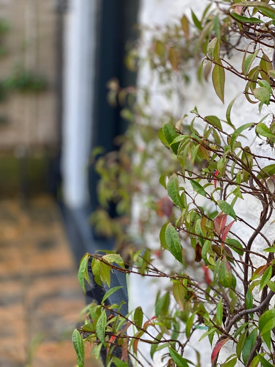 Hidden Gem - Charmouth Dorset House in East Devon District