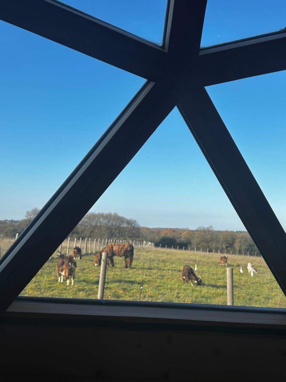 Dôme géodésique Luxury tent in Nouvelle-Aquitaine