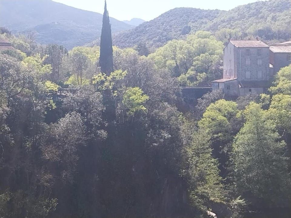 Charmante maison avec jardin et terrasse Villa in Occitanie