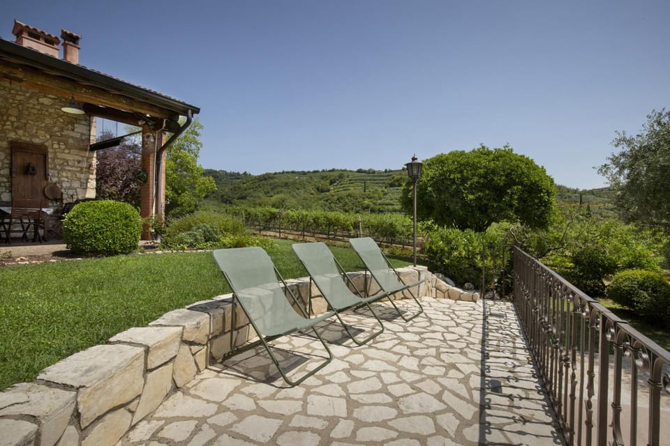 Villa Terrarossa with Pool in the Vineyard Villa in Veneto