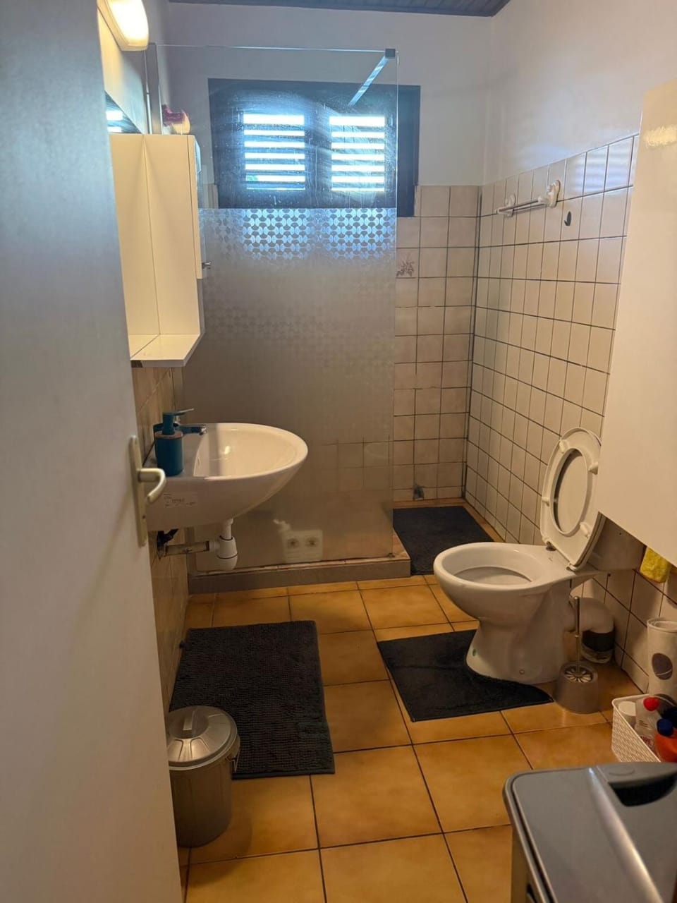 Appartement convivial, grande terrasse et jacuzzi Apartment in Martinique