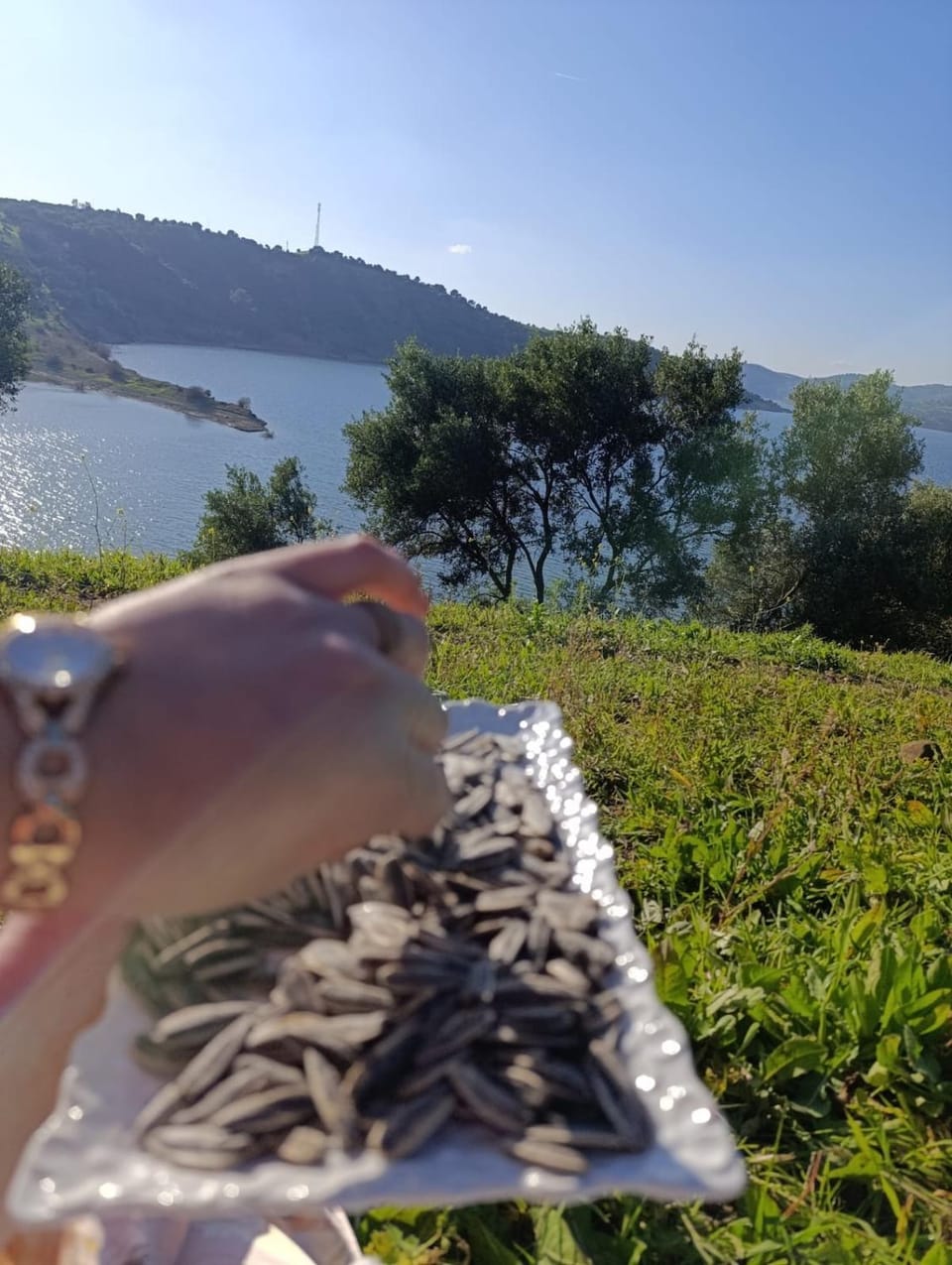 بيت ريفي للكراء - هدوء وراحة بعيد عن ضوضاء المدينة House in Rabat-Salé-Kénitra