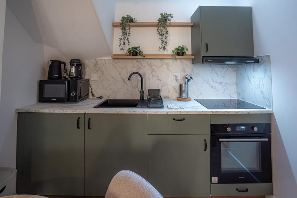 L écrin Vert Duplex cosy Hypercentre Rouen Apartment in Rouen