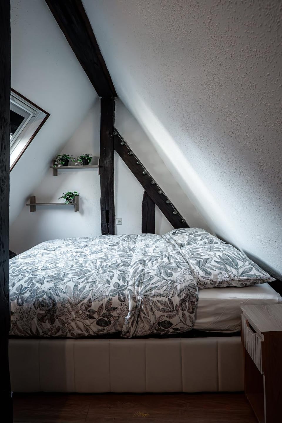 Le Nid Végétal cocon végétal perché au coeur de Rouen Apartment in Rouen