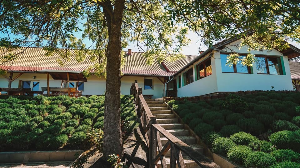 Szabó Tanya Nyim Apartment in Hungary