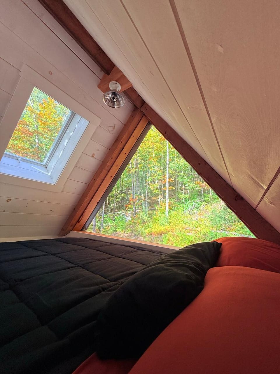 Bed, Night, Garden view