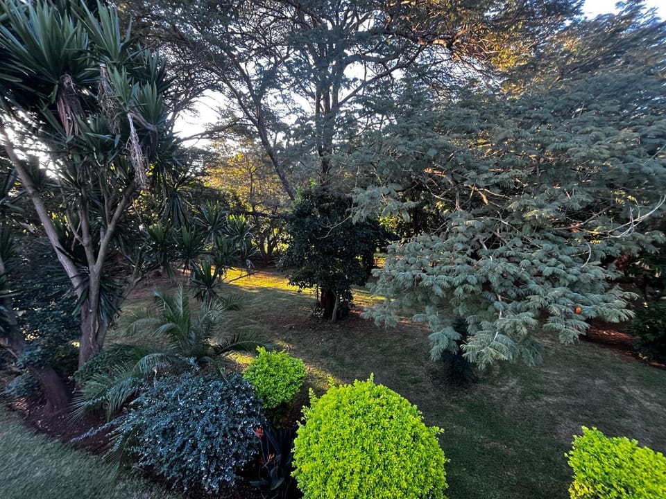Glen Haven Bed and Breakfast in Harare