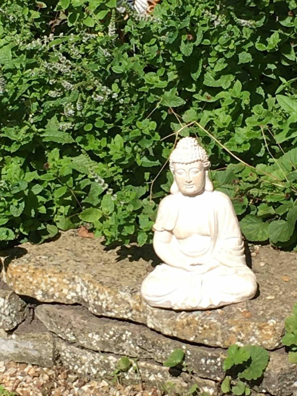 Spring, Day, Garden, Garden view