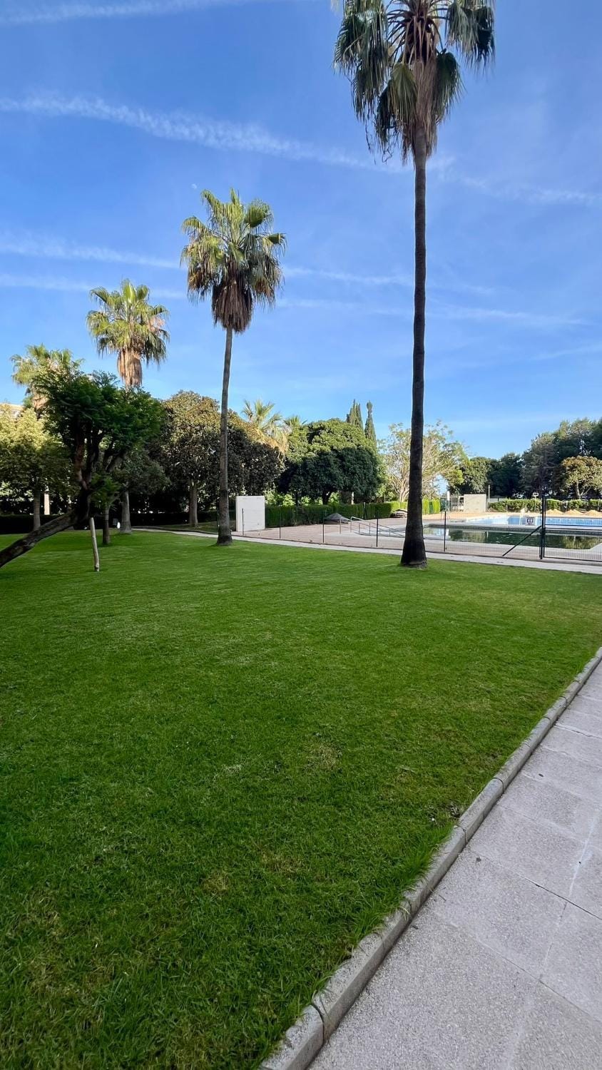 Natural landscape, Garden, Garden view