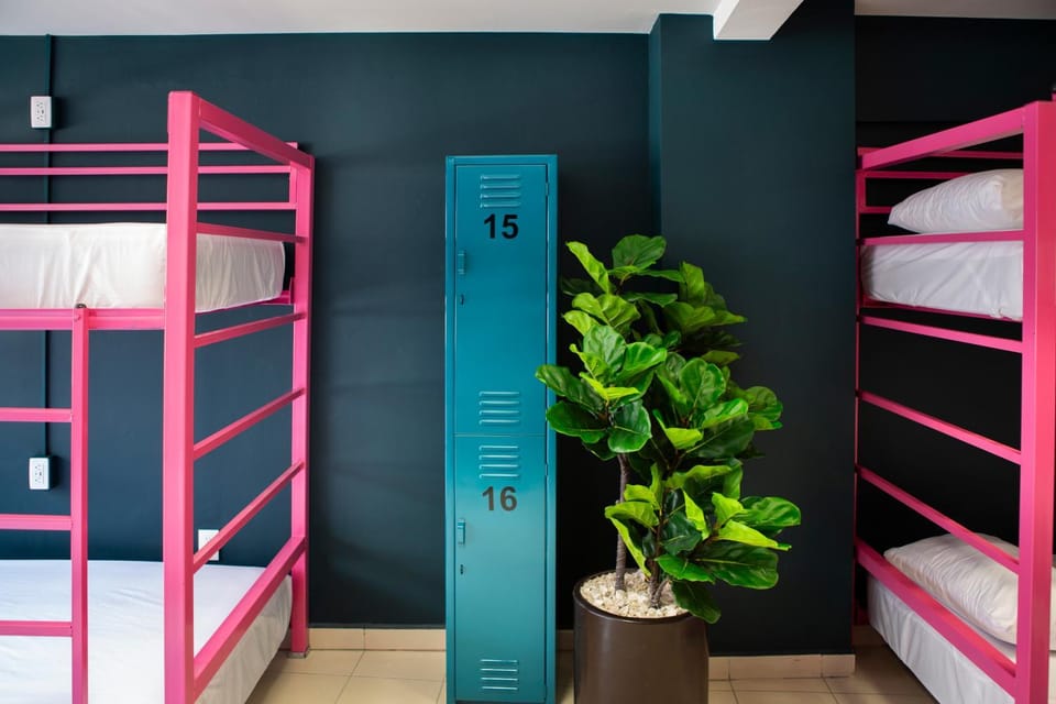 Casa Local Mestizo Hostal Hostel in Mexico City