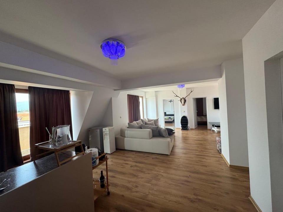 Living room, Photo of the whole room
