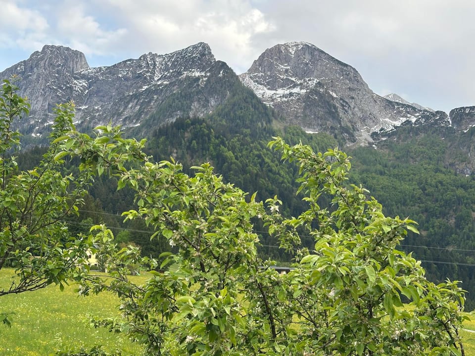 View (from property/room), Mountain view