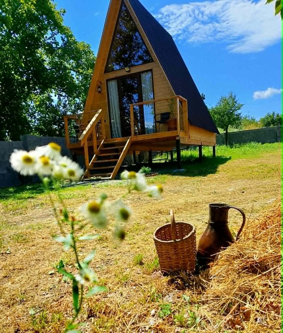 Akhateli Chalet in Georgia
