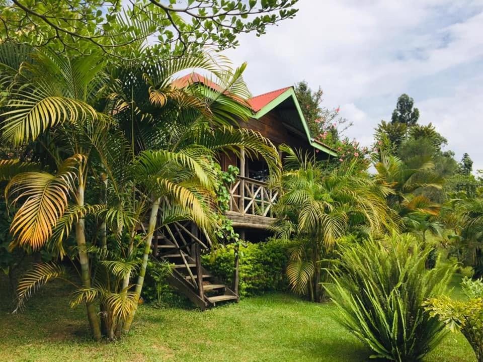 One love lake archive Bunyonyi Apartment in Uganda