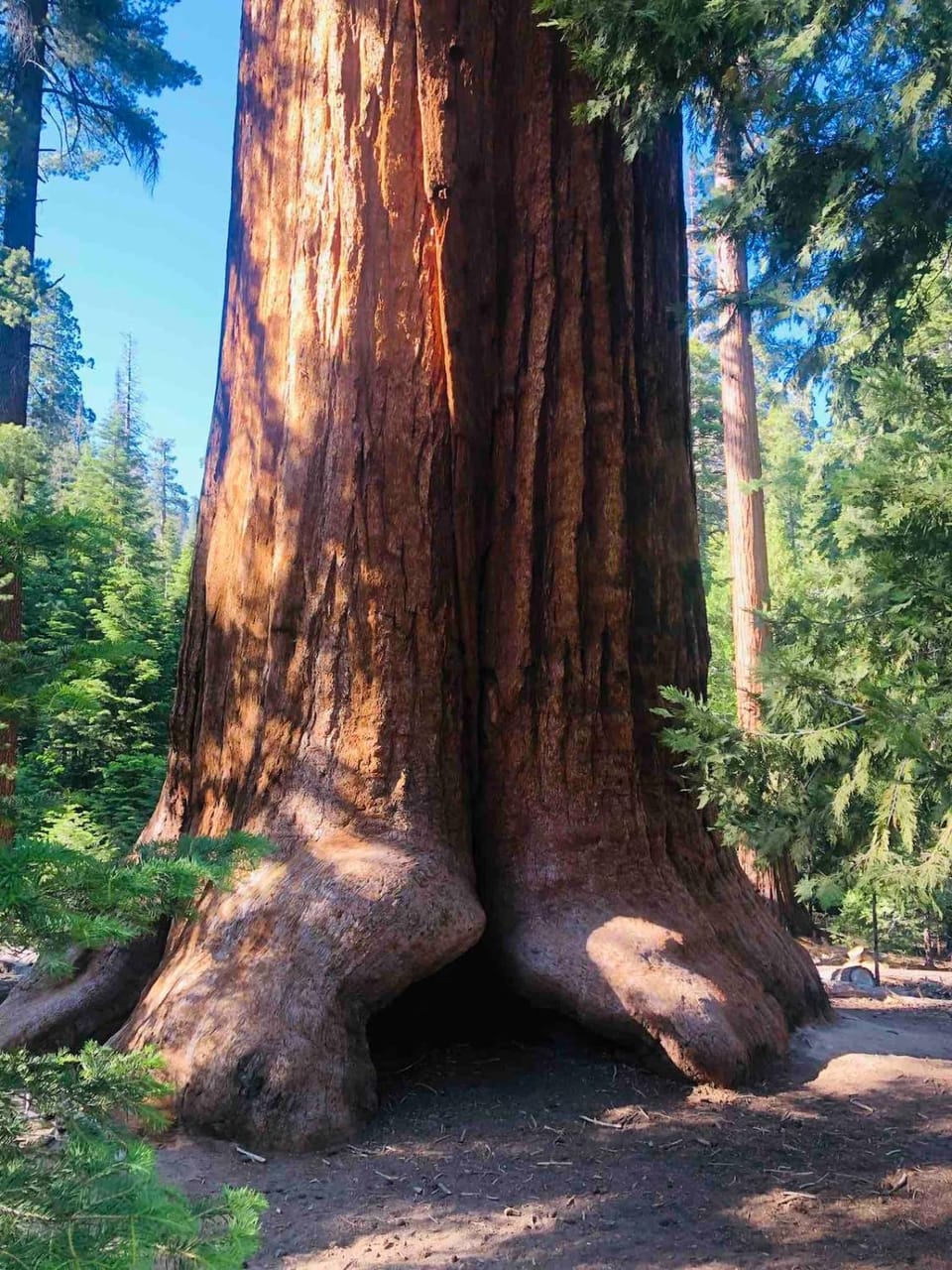 Sequoia National Forest Glamping House in Sierra Nevada