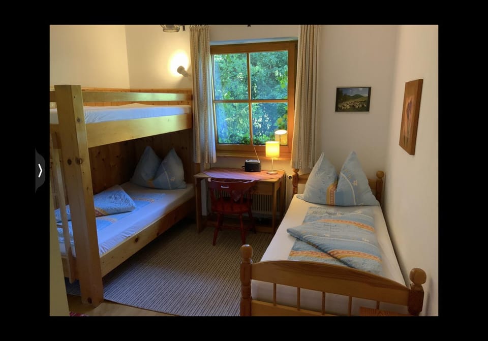 Grüne Au Apartment in Salzburgerland