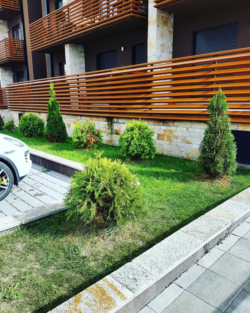 Apartman Stefy Apartment in Zlatibor