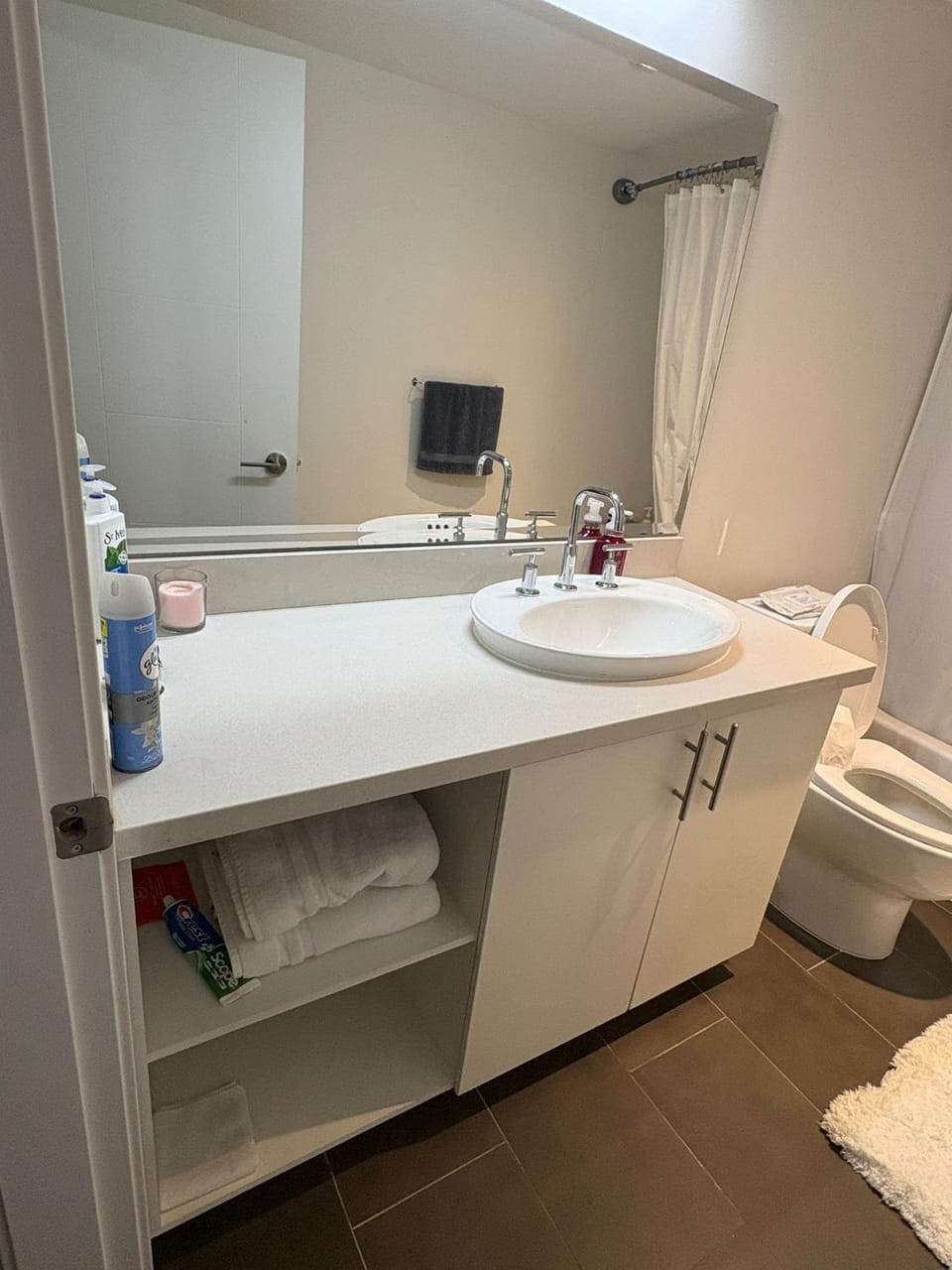 Basement suite Apartment in Pitt Meadows