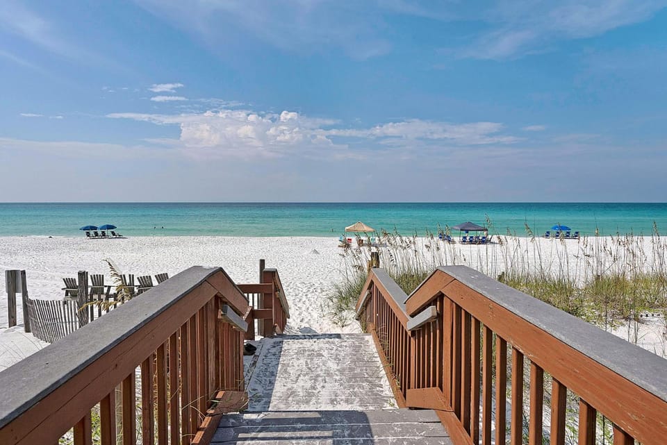 Treehouse By The Sea House in Miramar Beach