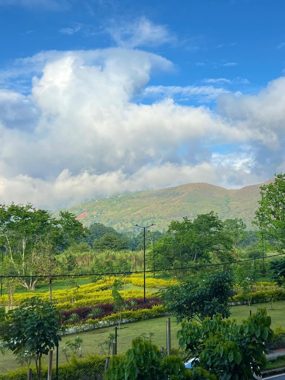 View (from property/room)