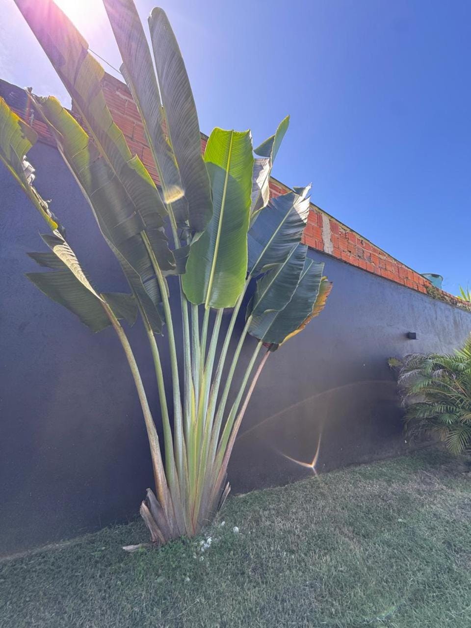 Casa de Praia no LITORAL NORTE DE ILHÉUS com Piscina Privativa, mesa de sinuca e área gourmet completa House in Ilhéus