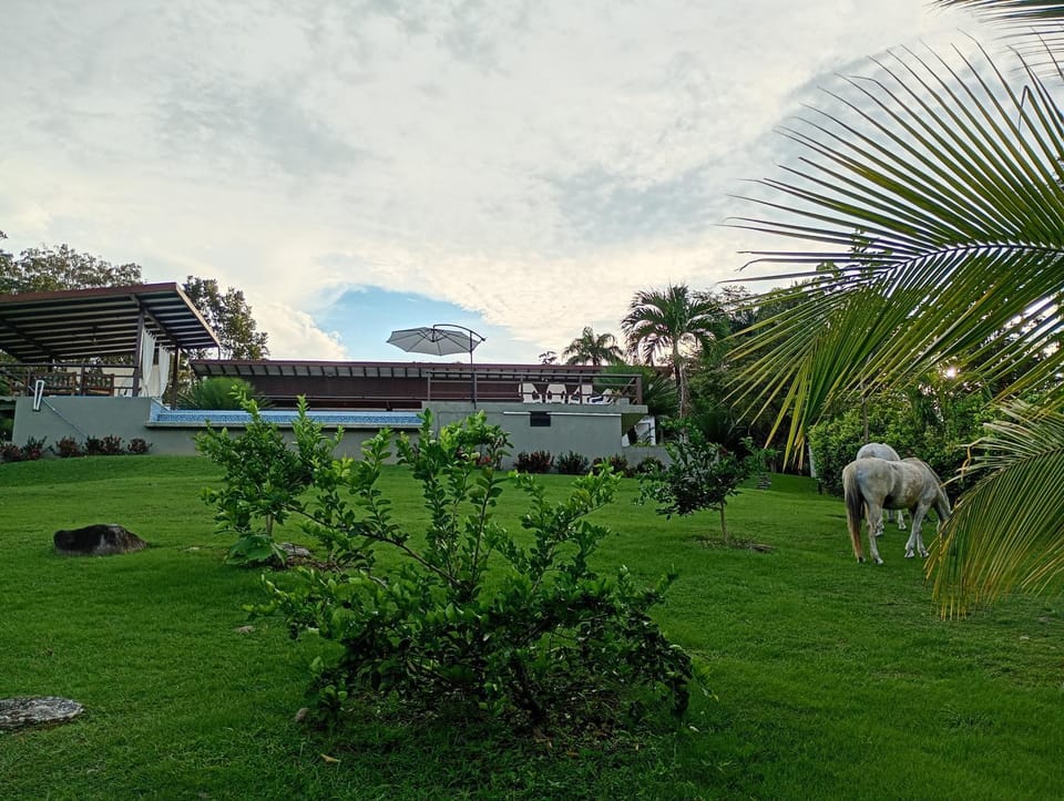 Finca Bonnavista, Suroeste, Puente Iglesias House in Antioquia