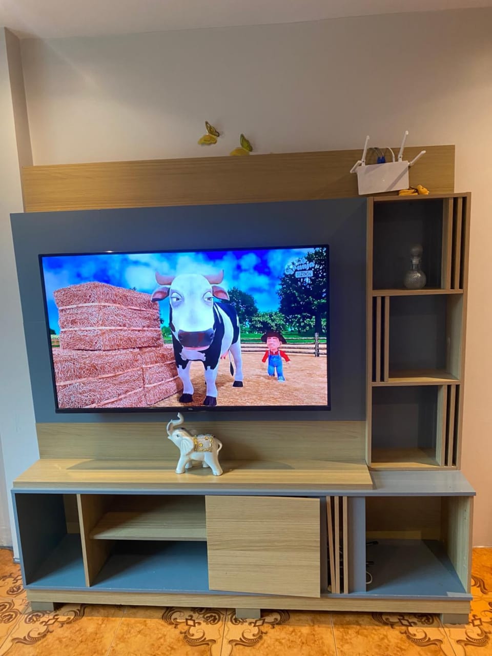 TV and multimedia
