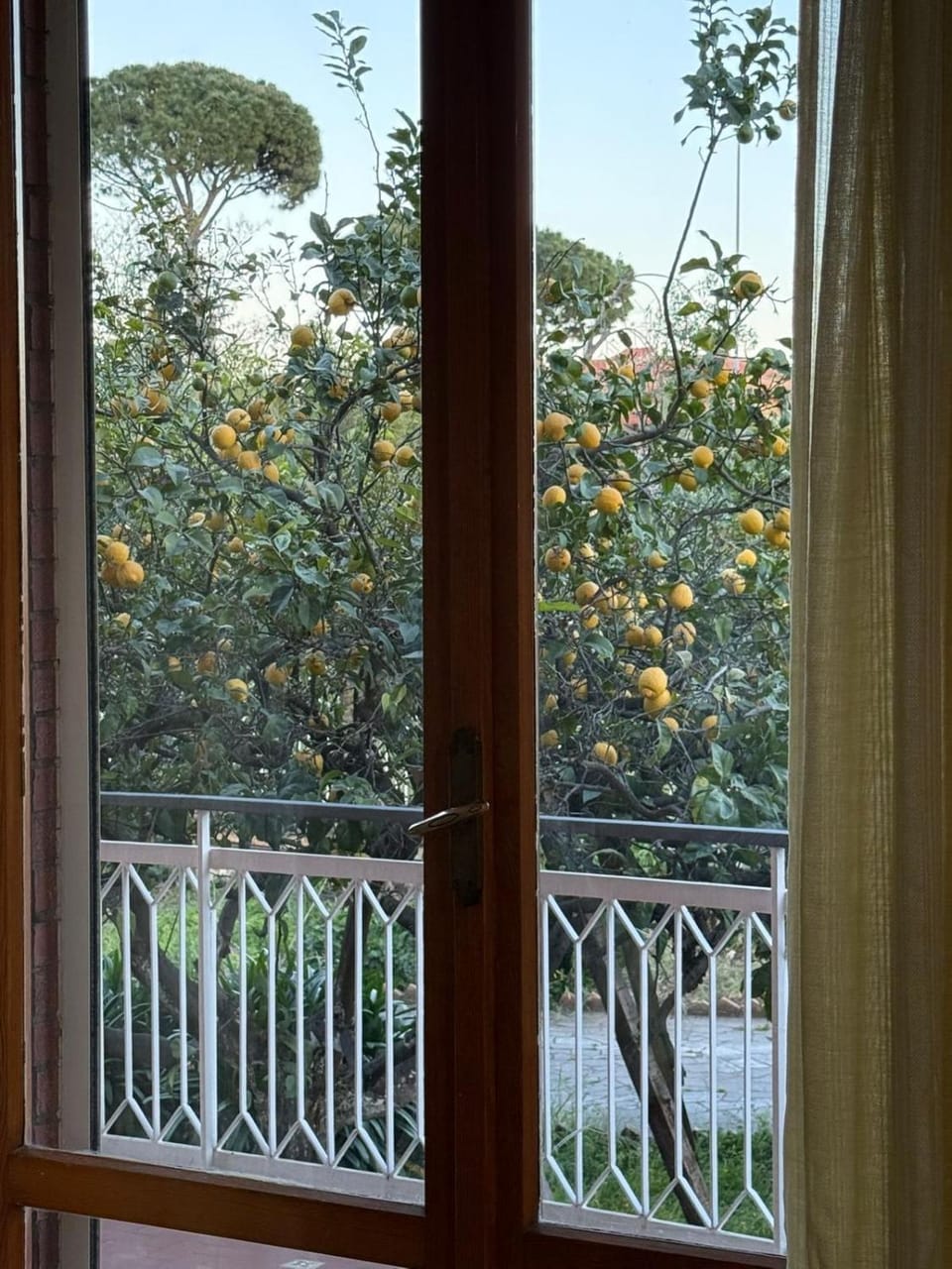 Lemon House Formia Apartment in Gaeta