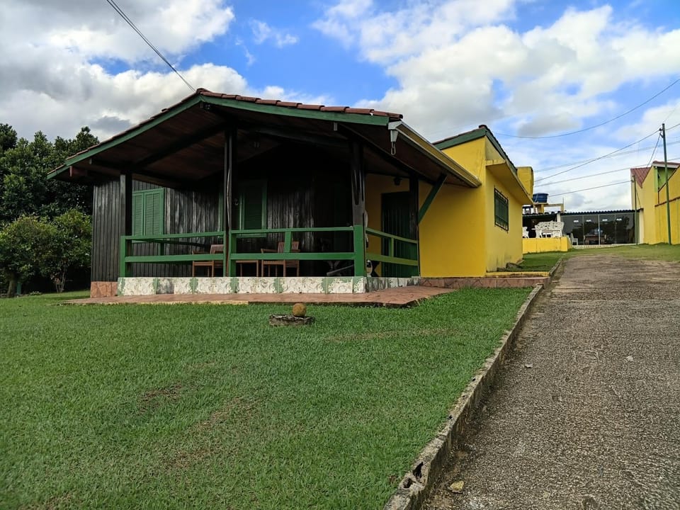 Day, Garden, Garden view