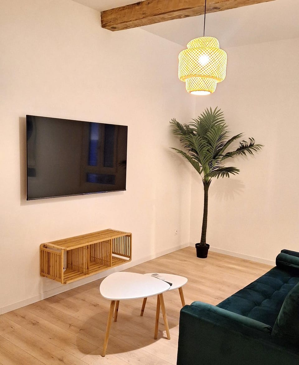 Joli appartement climatisé à 100m de la Gare Apartment in Perpignan
