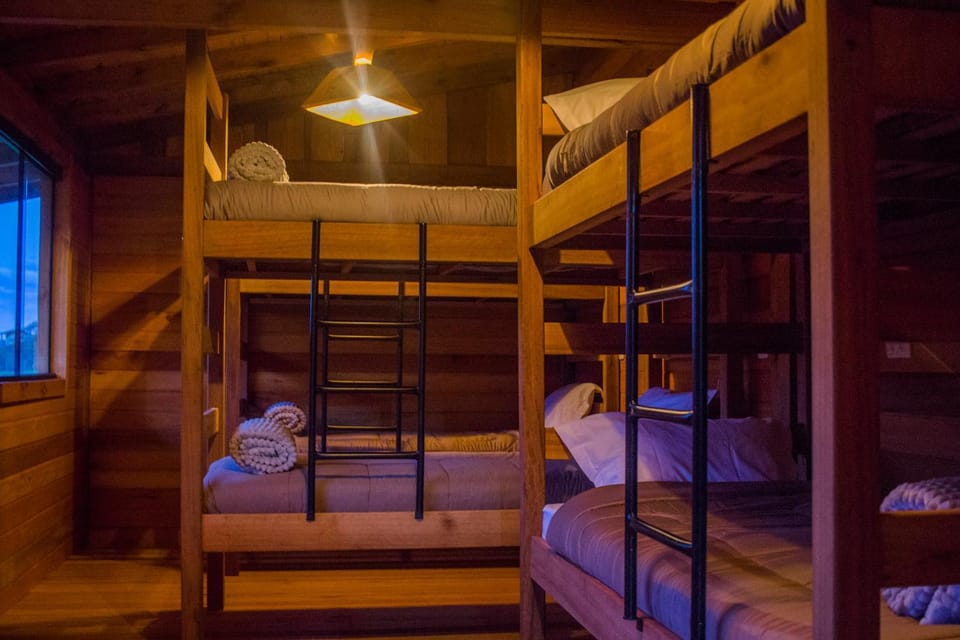 Bed, Photo of the whole room, Bedroom, bunk bed