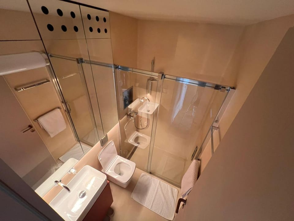 Shower, Toilet, Bathroom, towels