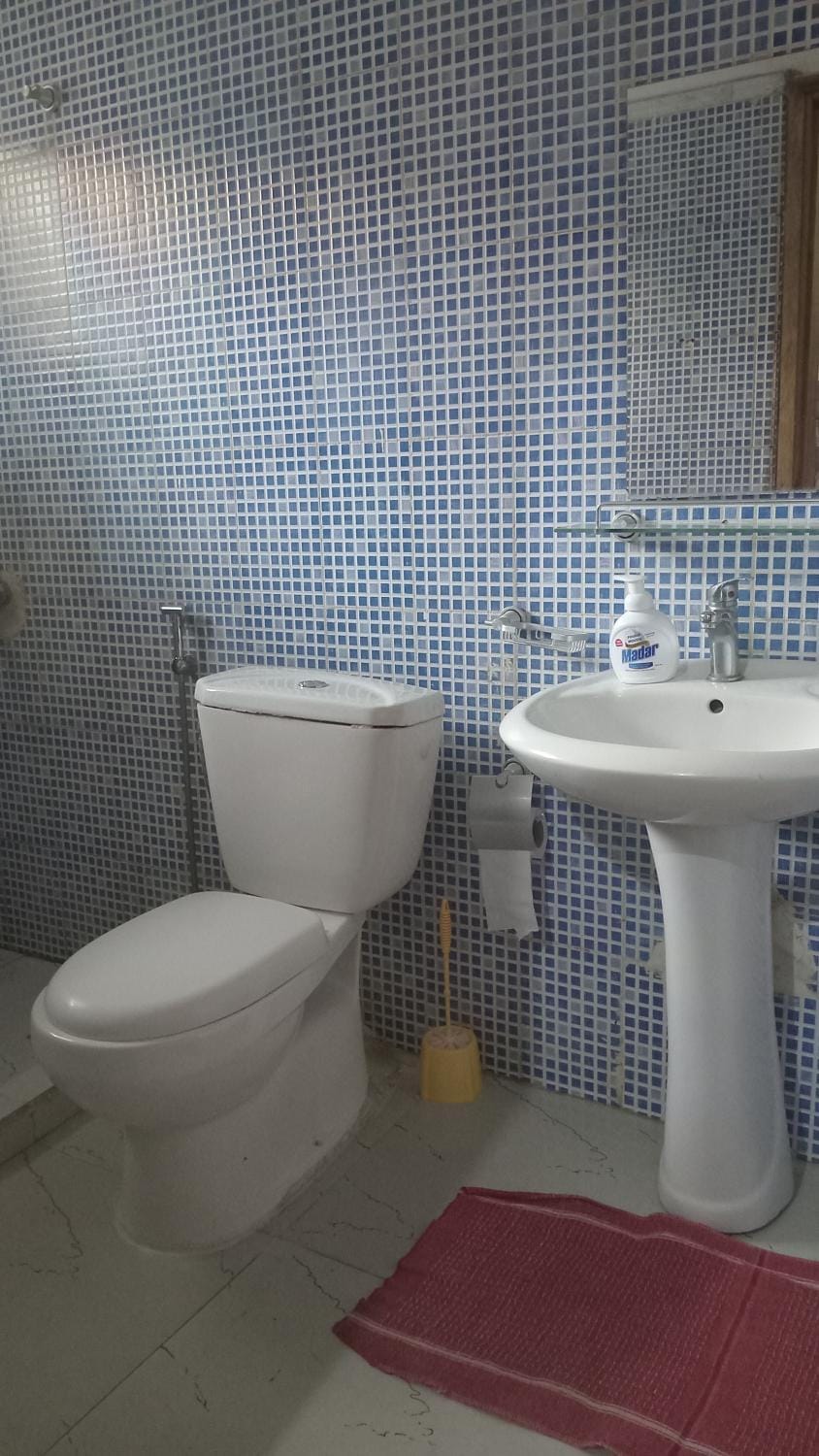 Toilet, Bathroom, bidet
