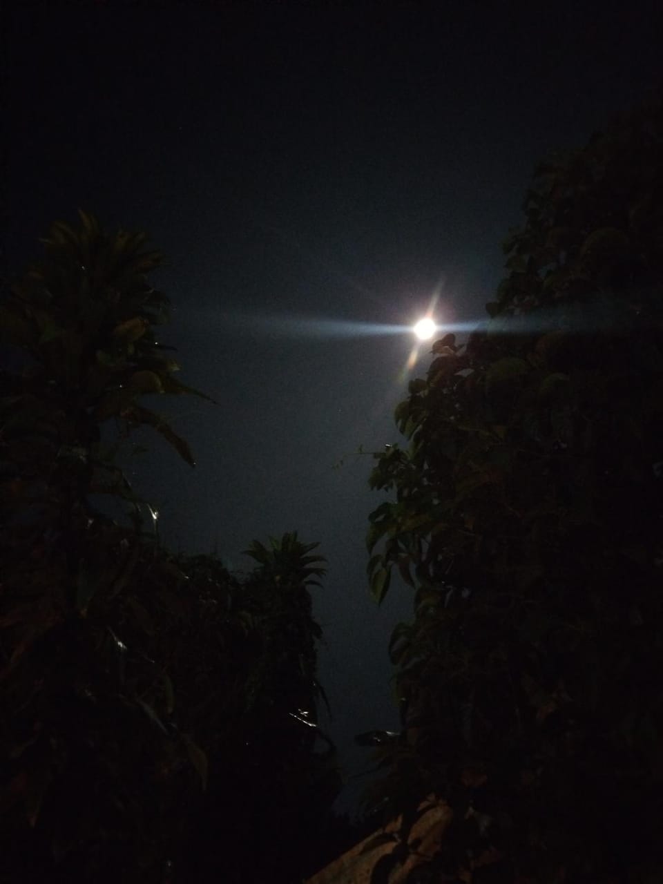 Night, Natural landscape