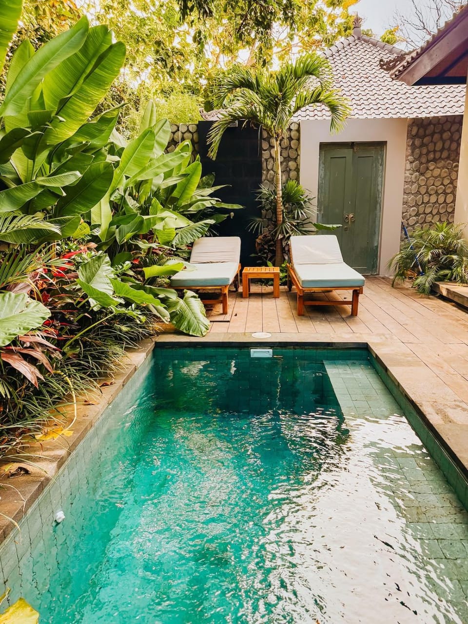 Garden, Swimming pool