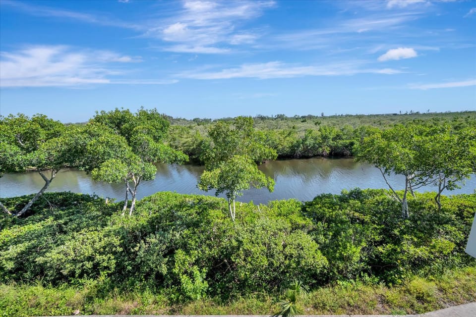Mangrove Waterway View Sleeps 4 Pool & Courts House in Ruskin