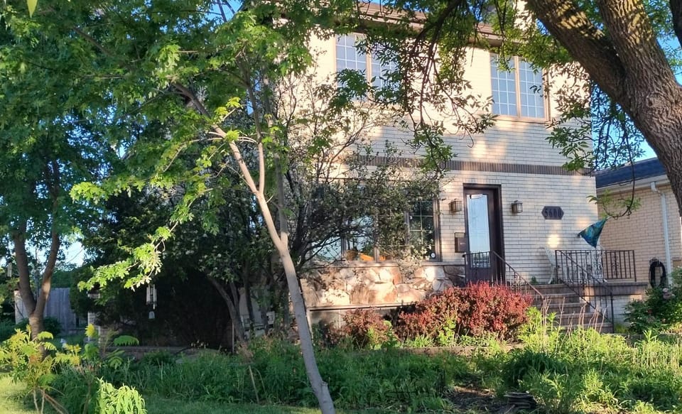 Property building, Day, Garden