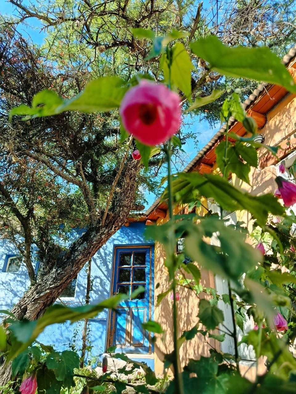 Las ñañas Vacation rental in San Luis Province, Argentina