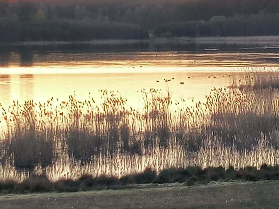 Lake view