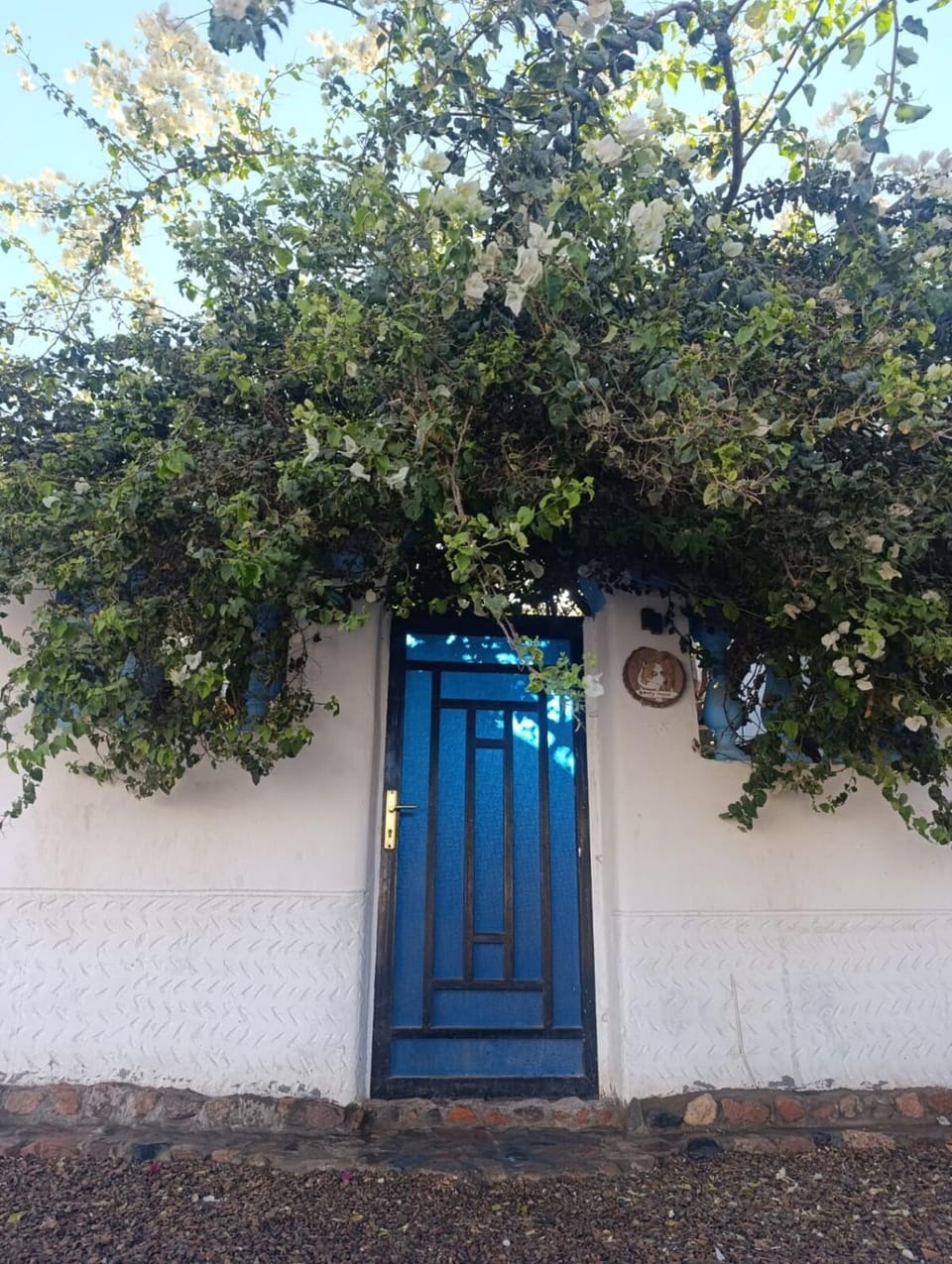 La Paz Bonny house Chalet in South Sinai Governorate