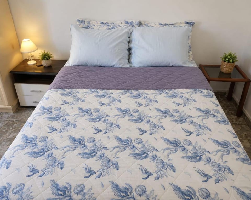 Praia Botafogo apartamento Apartment in Santa Teresa
