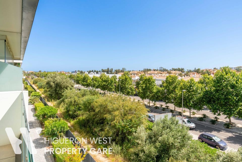 Spring, Neighbourhood, Bird's eye view